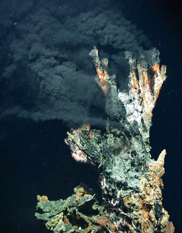A hydrothermal vent on the deep seafloor